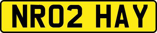NR02HAY