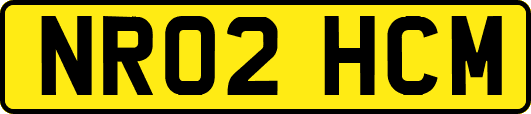 NR02HCM