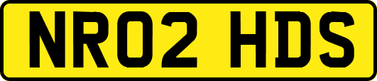 NR02HDS