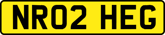 NR02HEG