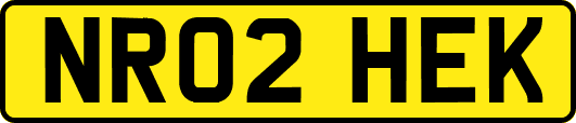 NR02HEK