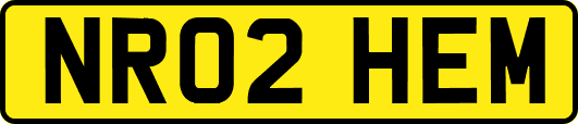 NR02HEM