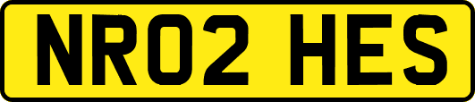 NR02HES