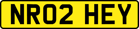 NR02HEY