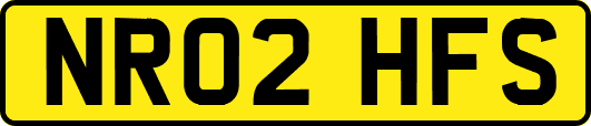 NR02HFS