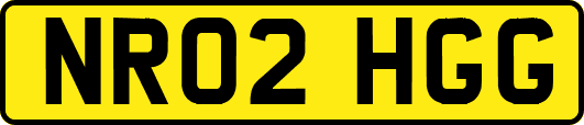 NR02HGG
