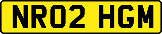 NR02HGM