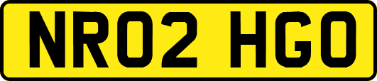 NR02HGO