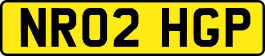NR02HGP