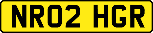 NR02HGR