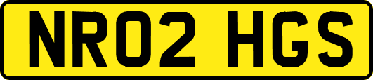 NR02HGS