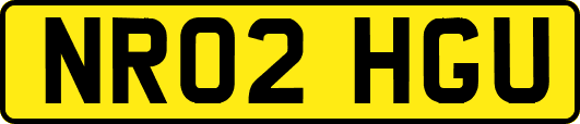 NR02HGU
