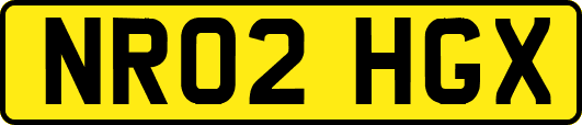 NR02HGX