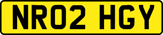 NR02HGY