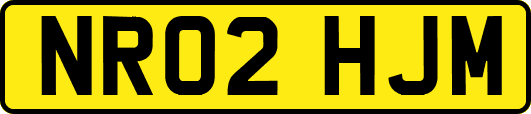 NR02HJM