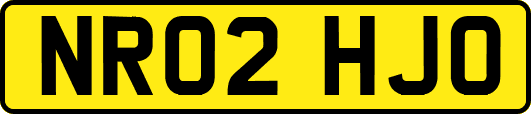 NR02HJO