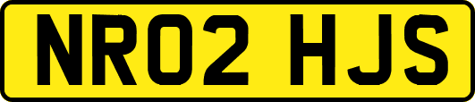 NR02HJS