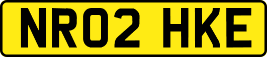 NR02HKE