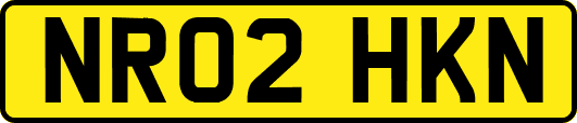 NR02HKN