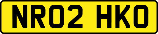 NR02HKO
