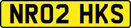 NR02HKS