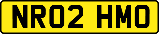 NR02HMO