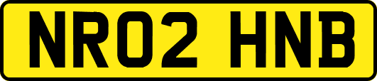 NR02HNB