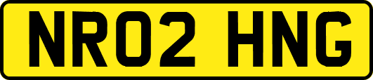 NR02HNG