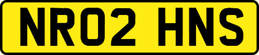NR02HNS