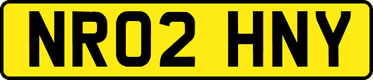 NR02HNY