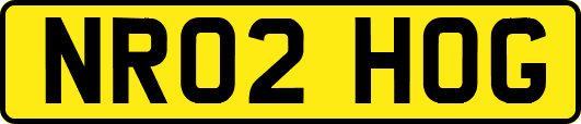 NR02HOG