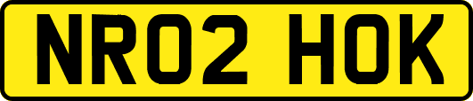 NR02HOK