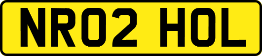 NR02HOL