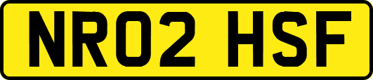 NR02HSF