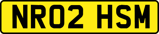 NR02HSM