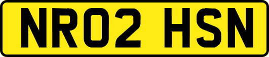 NR02HSN