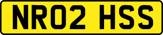 NR02HSS