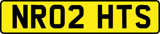 NR02HTS