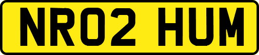 NR02HUM
