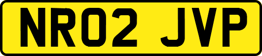 NR02JVP
