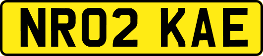 NR02KAE