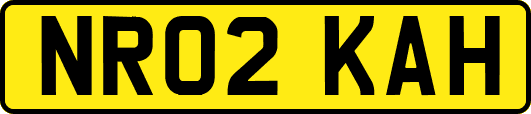 NR02KAH