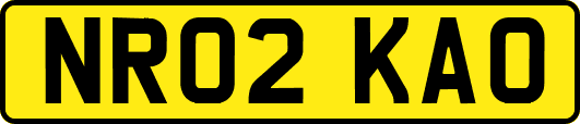NR02KAO