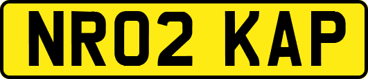NR02KAP