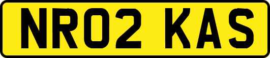 NR02KAS