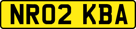 NR02KBA