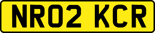 NR02KCR