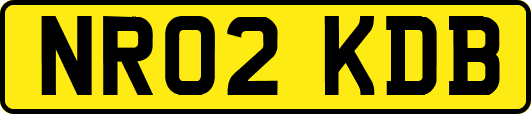 NR02KDB