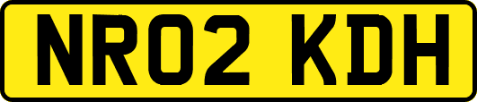 NR02KDH