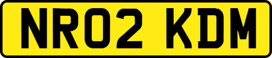 NR02KDM
